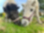IMG_5567.jpeg