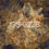 Miniatura: Fall leaves series