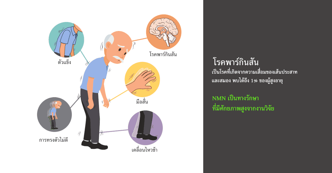 NAD+ ในการรักษาผู้ป่วยโรคพาร์กินสัน