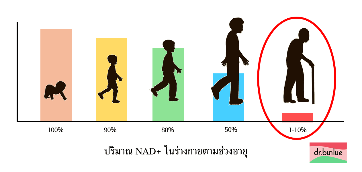 nad-2.png