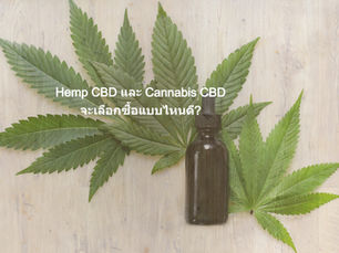น้ำมัน CBD จากกัญชง (Hemp CBD) หรือจากกัญชา (Cannabis CBD) จะเลือกซื้อแบบไหนดี?