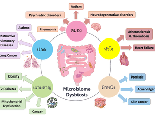 ทำไมเราถึงแก่ชรา? (ตอนที่ 12/12) ... การเสียสมดุลย์ของจุลินทรีย์ในร่างกาย (Microbiome Dysbiosis)