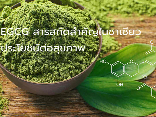 EGCG สารสกัดสำคัญในชาเชียว - ประโยชน์ต่อสุขภาพ