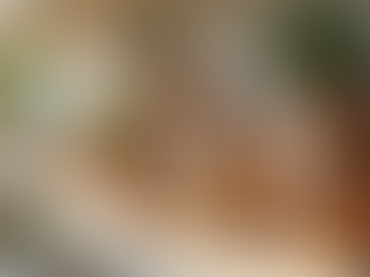 Descubra Produtos Exclusivos na Grupos Noé