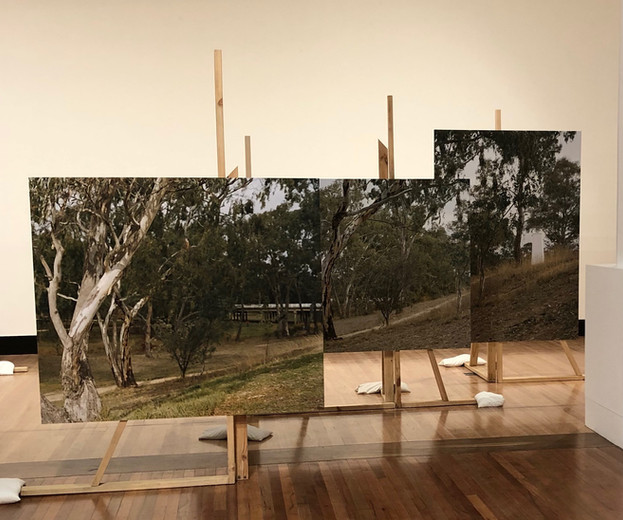 BRridge Morwell_1520.jpeg