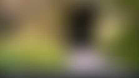 Unlock Your Home’s Potential: Cash-Out Refinance vs. Home Equity Loan