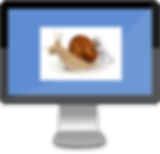 Man pushing snail
