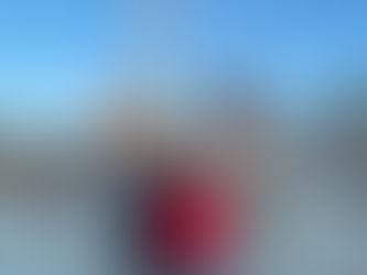 COME HO INIZIATO QUESTA LEGISLATURA?