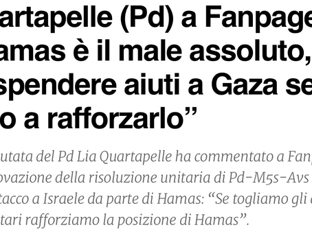 INTERVISTA SULLA GUERRA ISRAELE-HAMAS PER FANPAGE