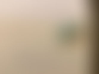 FERMARE LE CONDANNE A MORTE IN IRAN