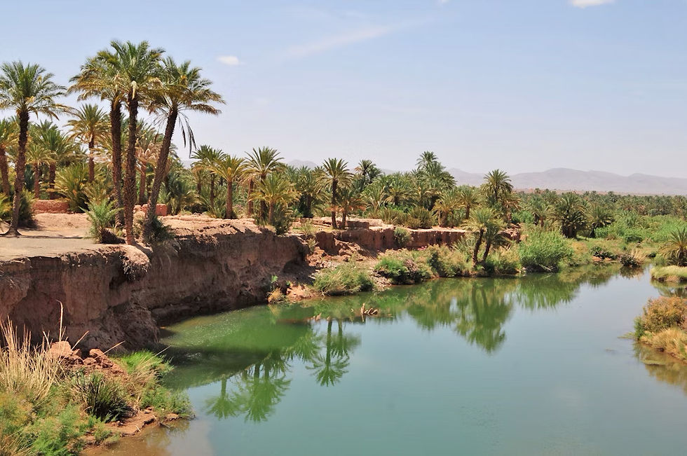 Palm trees line the serene Morocco’s Draa River Valley with clear reflections. Rocky banks and a distant mountain range under a clear blue sky create a tranquil scene.