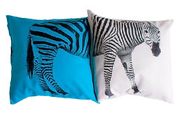 zebra.jpeg