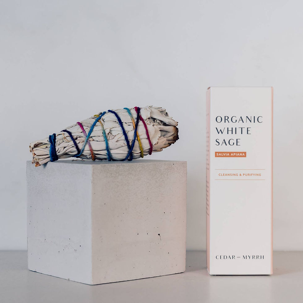 [Burning Ritual] Organic White Sage