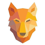 Foundry 52 Wolfnet Technologies Logo.jpeg