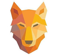 Foundry 52 Wolfnet Technologies Logo.jpeg