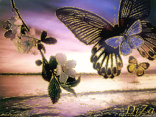IMG_0971.GIF