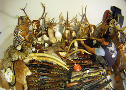 2010- Canal Futura: Entre Fronteiras