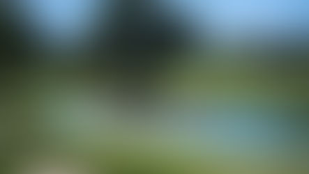 3 Signs You're in Your Leadership Zone