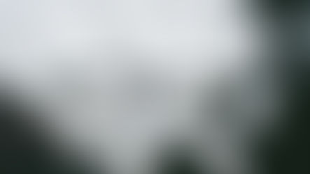 Can I Borrow Your Glasses?