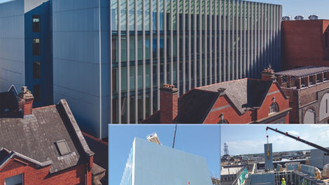 Hanging Gardens Intternational. Limerick