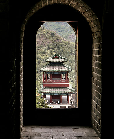 dendy-_n6hsSNBDR0-unsplash.jpg