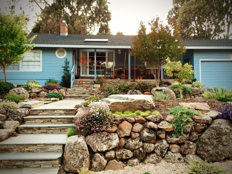 SUMMER LANDSCAPING SERVICES IN CINCINNATI