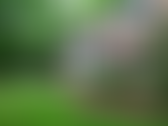 ROUTINE MAINTENANCE SERVICES IN CINCINNATI