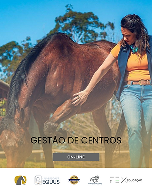 artes site ABRE (3).png