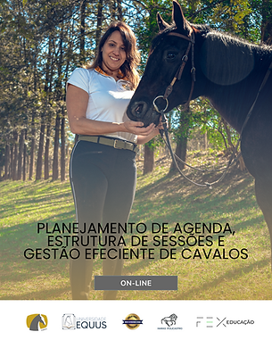 artes site ABRE.png