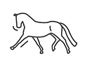 A ABRE por meio da parceria humano-cavalo se propõe a desenvolver e transformar vidas! Como? (1) Ofertando formação para profissionais que desejam trabalhar com toda a sorte de Serviços Assistidos com Equinos e (2) com sessões de Desenvolvimento Pessoal com Cavalos e Treinamento para o mundo corporativo com Cavalos
