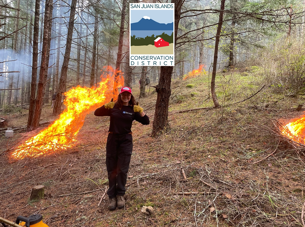 SJICD Quarterly Update - December 2025