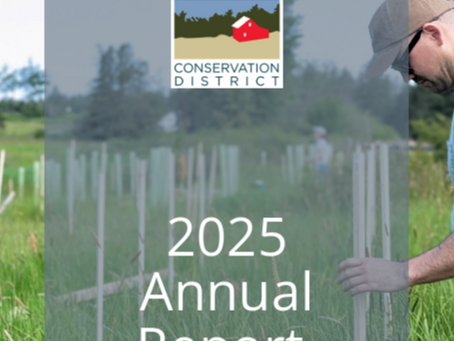 SJICD April 2026 Newsletter