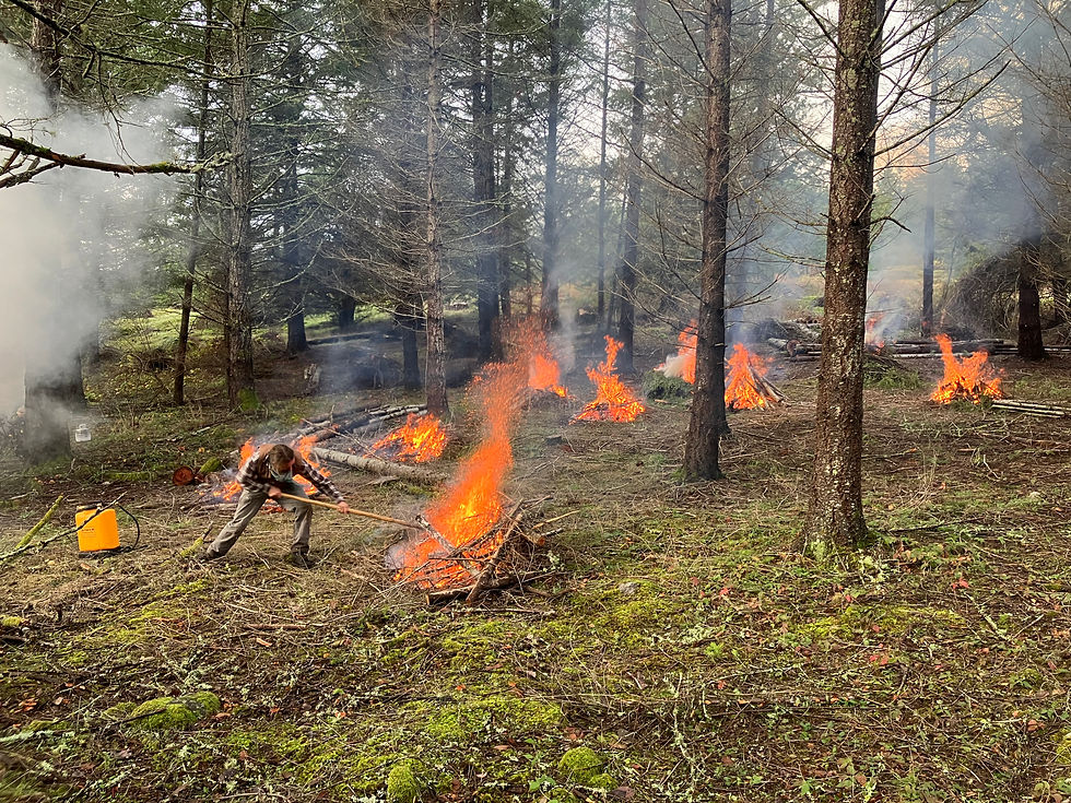 Winning photo of the Wildfire Awareness Month Photo Contest, captured by ICC Crew Supervisor Andrew Jensen and recognized by the WA Conservation Commission.