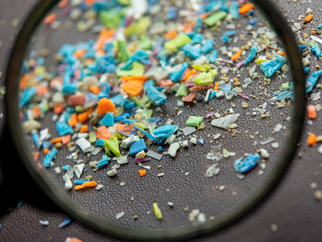Microplastic Detox Strategies: Addressing One Of The Most Pervasive Environmental Toxins