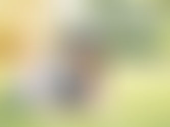 La Rabia: Carta a abierta de los chicxs a los adultos