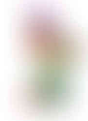 Looney Tunes Land Character Areas - Six Flags Magic Mountain