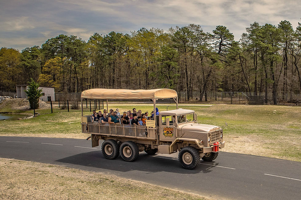Safari Off-Road Adventure Vehicle - Six Flags Great Adventure