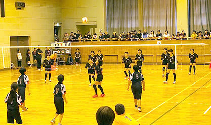03volleyball1-001.jpg