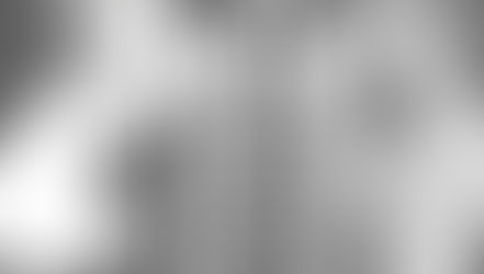 A Terse Timeline of Dank Discoveries