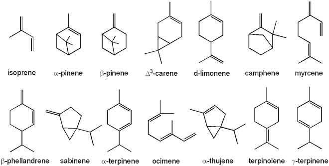 A collection of terpene molecular structures.