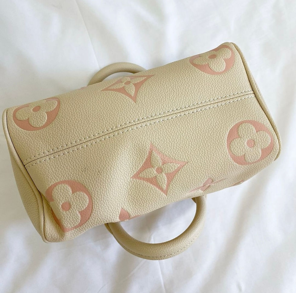 Thumbnail: Luxury Beige-Pink Spēēdy Bag (+Strap)