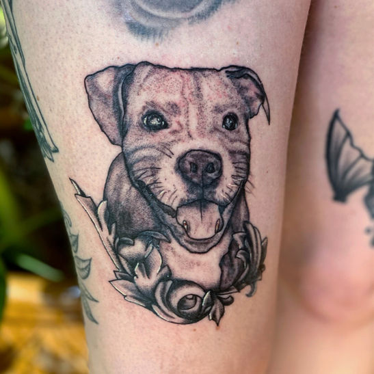 7488A8CE-DDFD-4D35-9273-64072CA16190 2.JPG