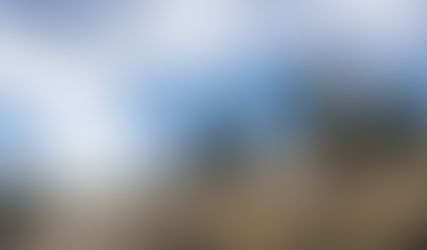 Update on the Community Wildfire Protection Plan (CWPP)