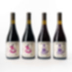 Cabernet Franc x2 y Pinot Noir x2