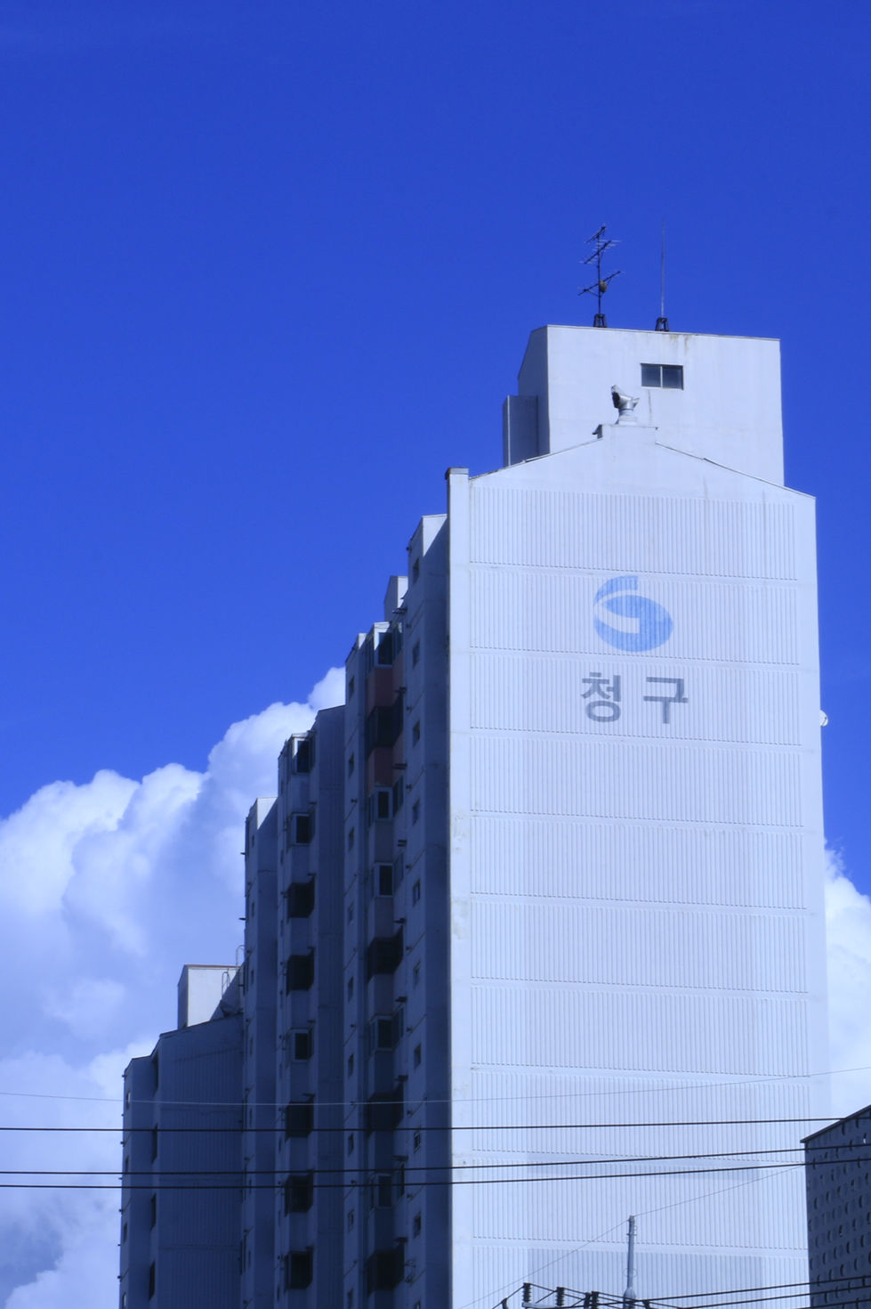 _MG_5576.JPG