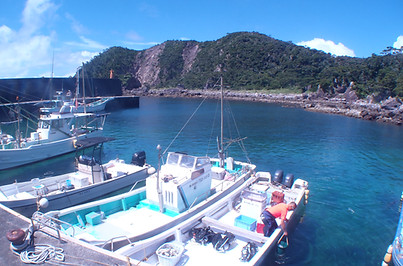 P7100001.jpg