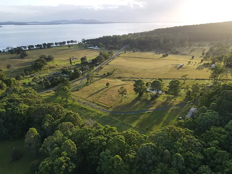 Sutherland Downs.webp