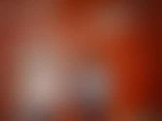 El PSOE presenta su imagen y slogan de campaña “La Orihuela Valiente”