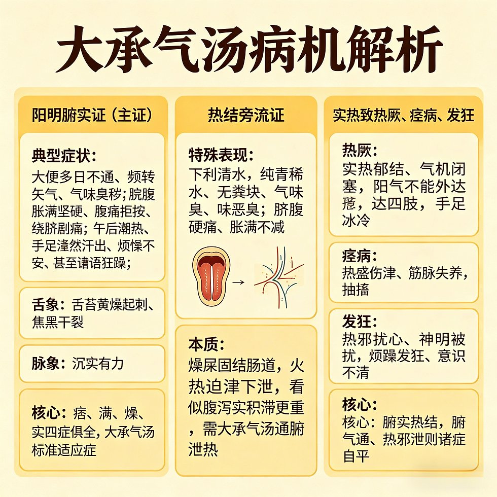 大承氣湯：蕩滌腸胃實熱，瀉下第一方