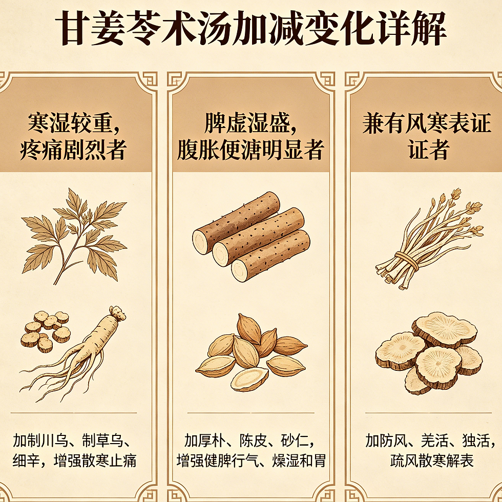 甘姜苓術湯